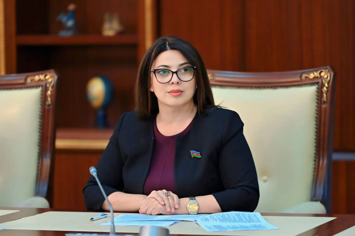 Deputat Cinayət Məcəlləsinə bank fırıldaqçıları ilə bağlı daha dəqiq müddəaların əlavə olunmasını təklif edib