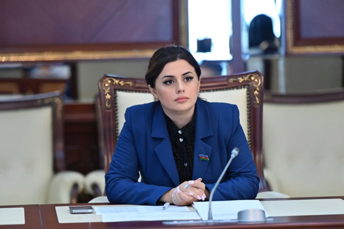 Pərvanə Vəliyeva: "Azərbaycanda dağ-mədən sənayesinin illik maliyyə təsiri 1 milyard manatı ötəcək"