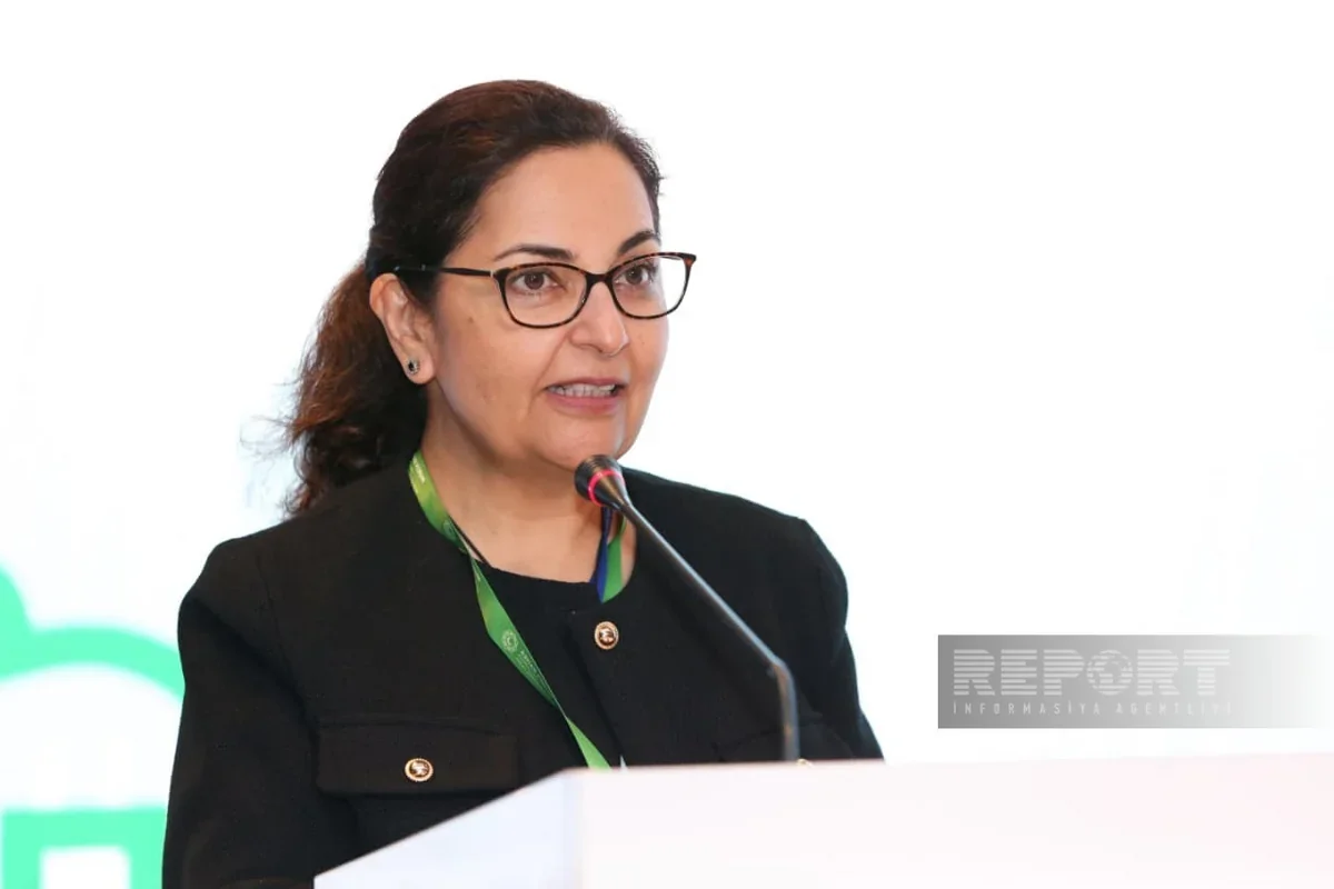 Sunniya Durrani-Camal: "ADB transsərhəd infrastrukturun inkişafında Azərbaycana dəstək göstərə bilər"