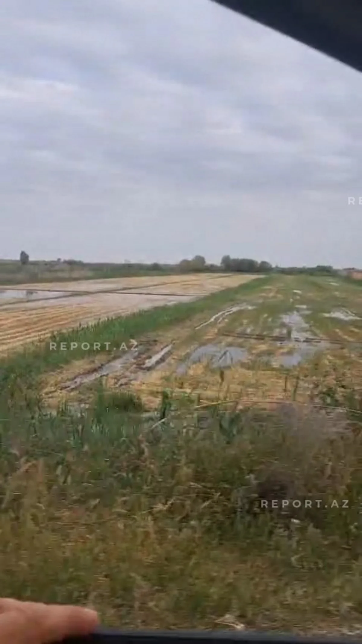 The water level has increased in Kur, and allotment lands in three villages of Imishli have been flooded