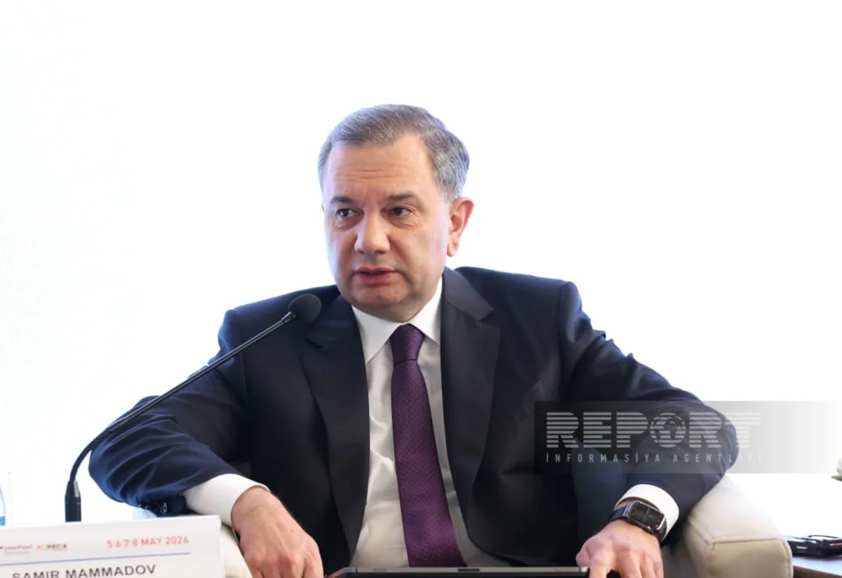 Samir Məmmədov: "Bakı Limanının ötürücülük gücünün 25 milyon tona çatdırılması üçün işlər aparılır"