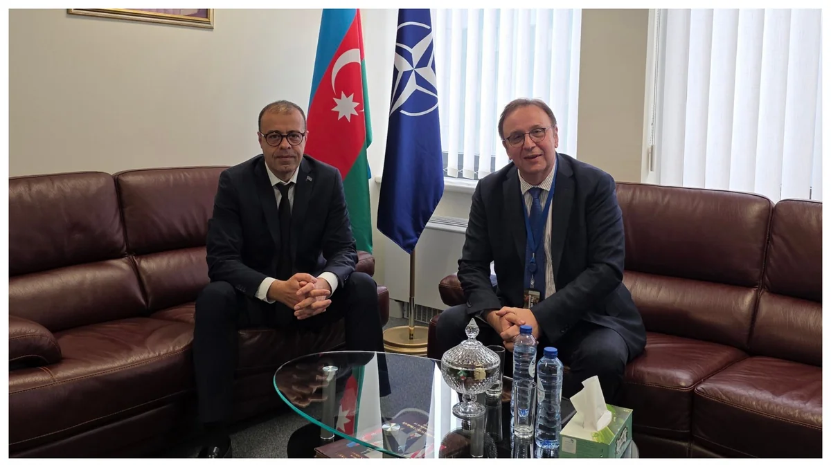 Azərbaycan və Serbiyanın NATO-dakı nümayəndələri ikitərəfli əməkdaşlığı müzakirə ediblər