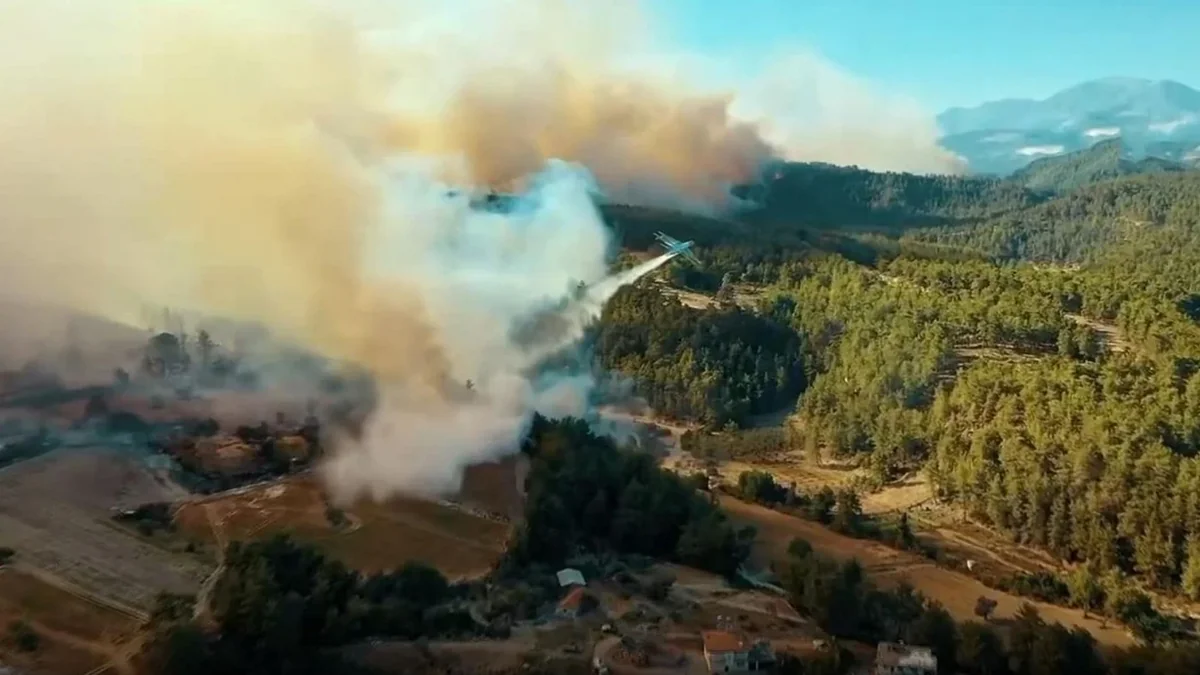 The number of means of fighting forest fires in Turkey has been announced