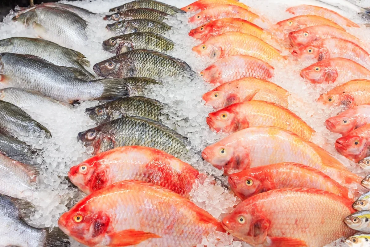 Georgia's expenditure on fish import from Azerbaijan has increased 4 times
