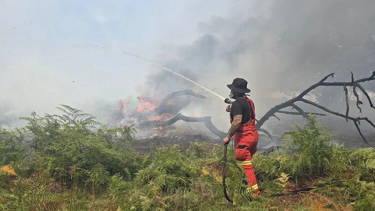 10 people were injured in forest fires in Britain