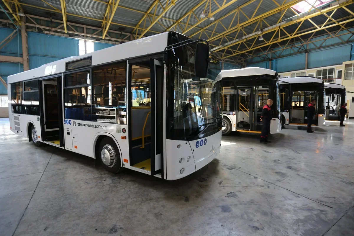 Bus production in Azerbaijan increased by more than 64%