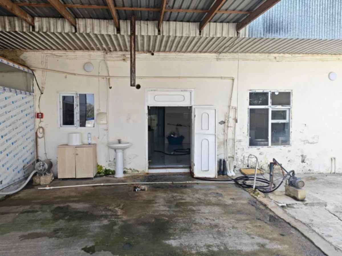 Ağcabədidə nöqsanlar aşkarlanan pendir müəssisəsinin fəaliyyəti məhdudlaşdırılıb