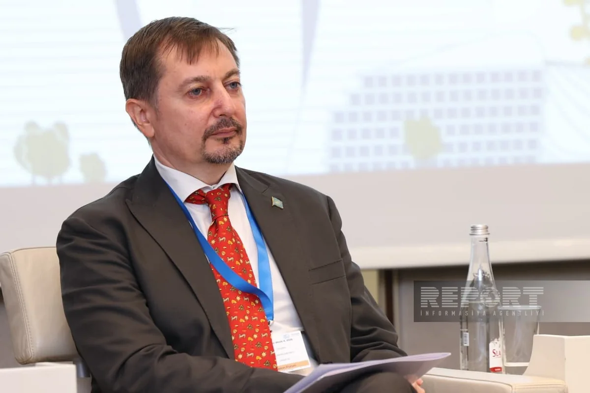 Dmitro Şlapaçenko: İqlimlə bağlı fəaliyyətlərə investisiyaların həcmi beş dəfə artıb