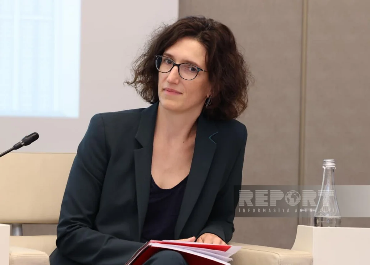 Dünya Bankı: Normativ baza olmadan transsərhəd "yaşıl enerji" dəhlizləri kommersiya dəyərini itirir