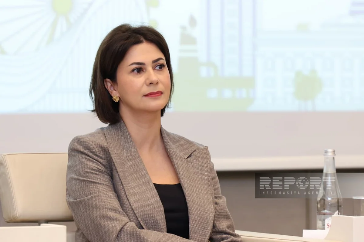 Bakıdakı "ECO Clean Energy Center" İƏT ölkələri üçün bərpa olunan enerjiyə dair model qanun hazırlayır