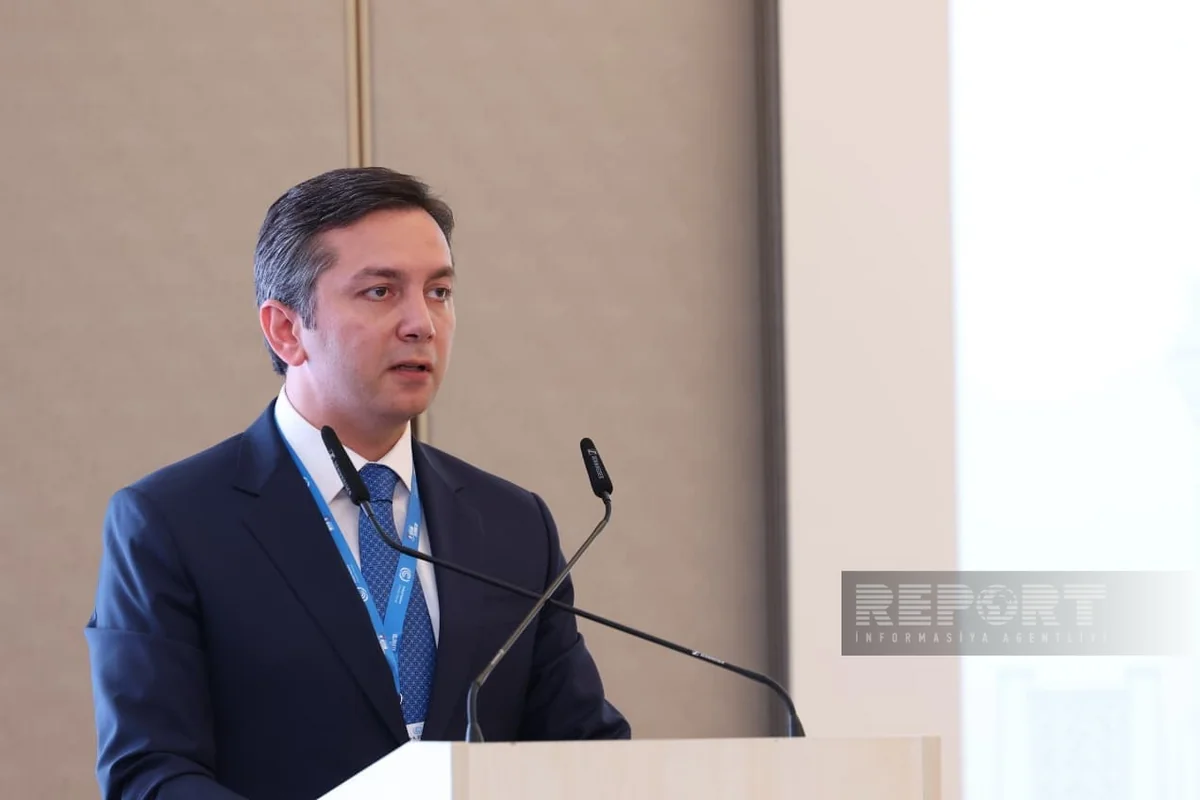 Yalçın Rəfiyev: İqlim dəyişikliyi yalnız dayanıqlılığı deyil, həm də diplomatiyanı sınağa çəkir