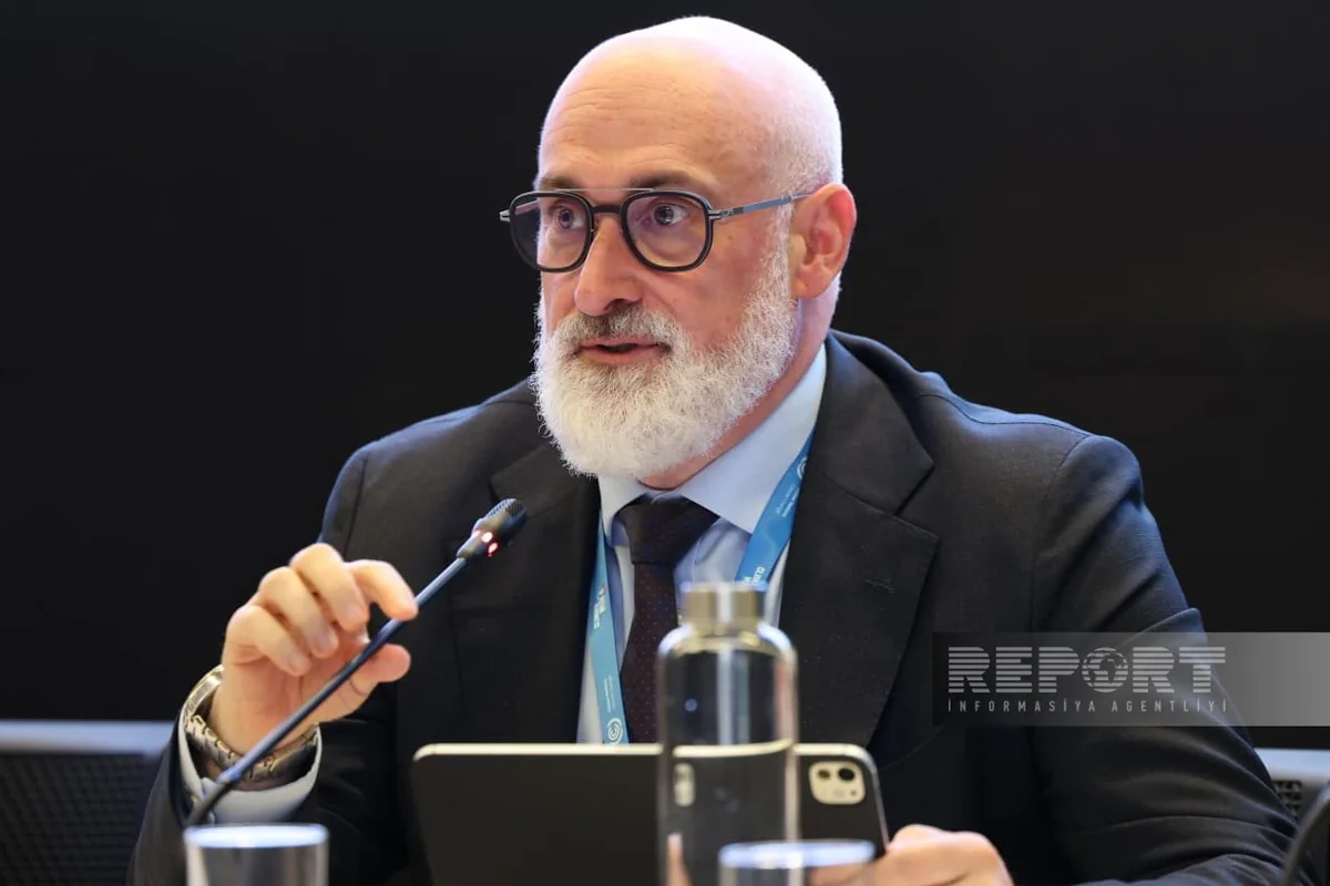 Devid Hiqqins: İqlim öhdəliklərinin qiymətləndirilməsində BTR hesabatları həlledici rol daşıyır