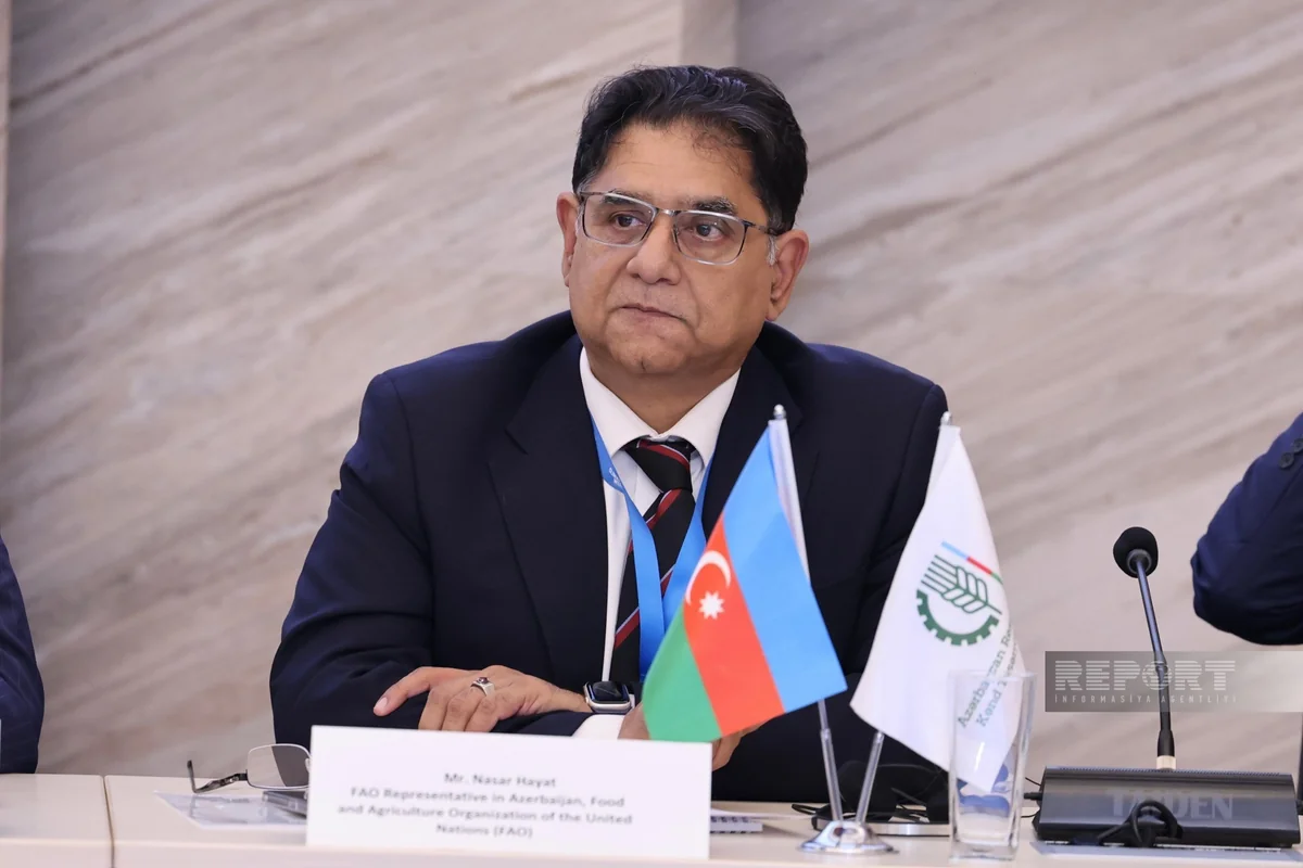 FAO: Daha az resursla daha yüksək məhsuldarlığa nail olmaq lazımdır