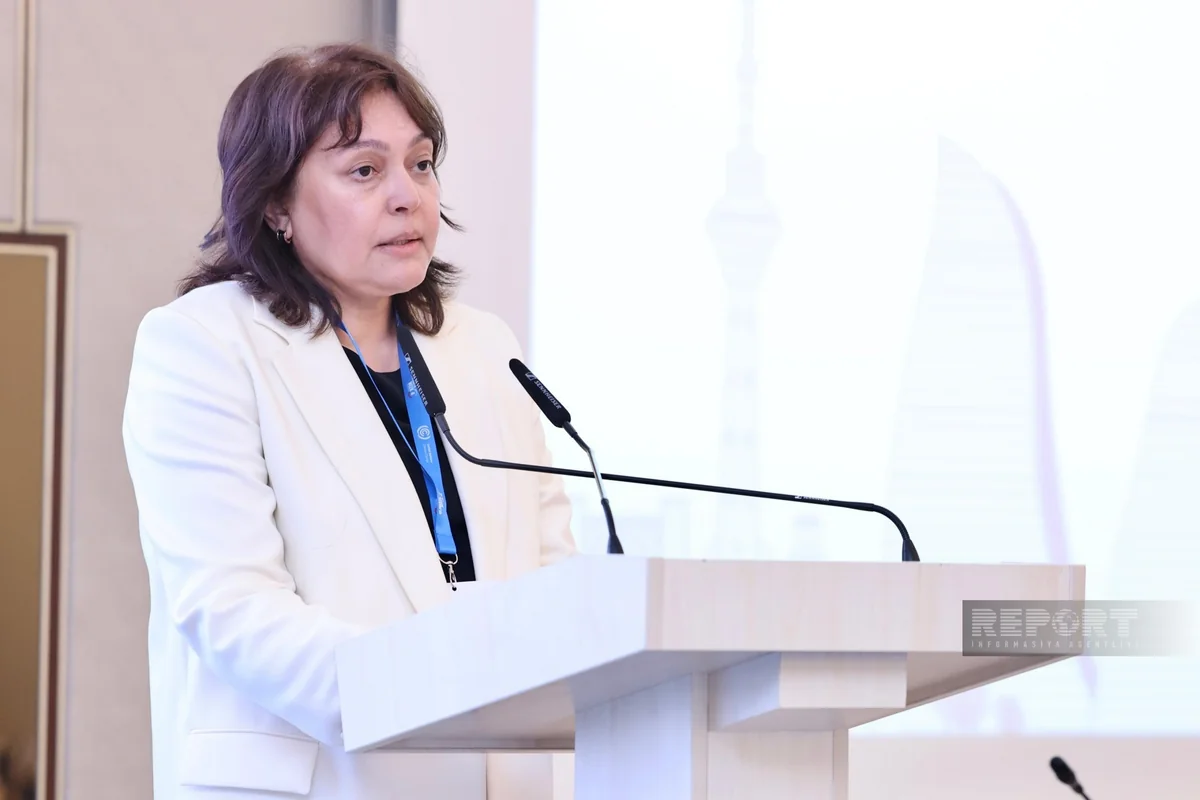 Nazir müavini: Azərbayanda avqust ayının son günündə 1 sutka ərzində 5 aylıq norma yağıntı düşüb