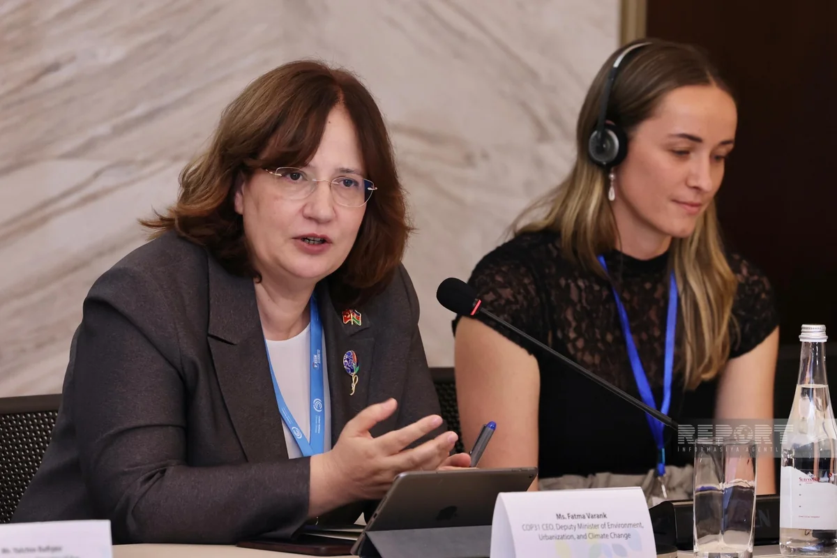 COP31-in baş direktoru: Azərbaycanda keçirilən COP29-da atılan addımları davam etdirmək istəyirik
