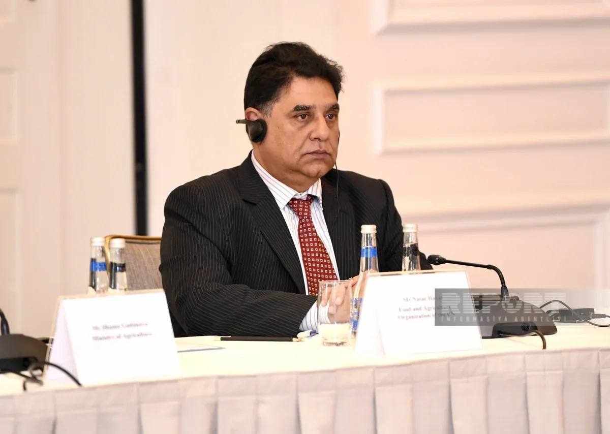 FAO: Azərbaycanın kənd təsərrüfatında süni intellekt geniş tətbiq olunacaq