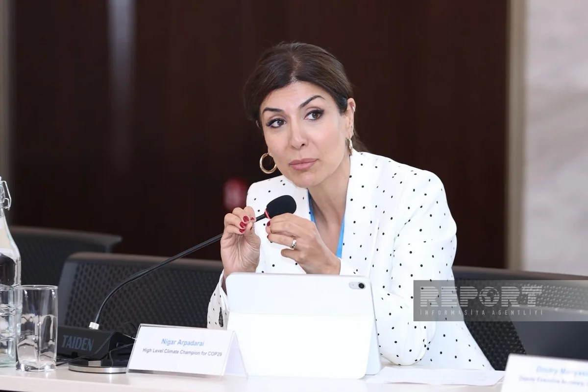 Nigar Arpadarai: "Emissiyaların azaldılması prosesinə biznes nümayəndələri də cəlb edilməlidir"