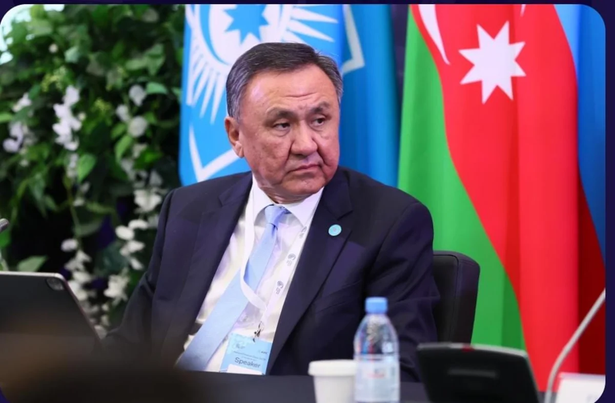 TDT ölkələri dayanıqlı maliyyələşdirmədə əməkdaşlığı genişləndirəcək