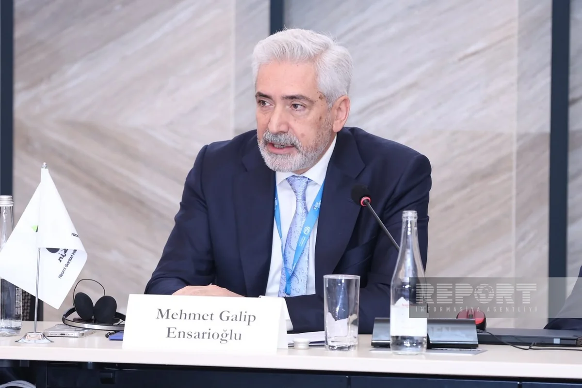 Mehmet Qalib Ensarioğlu: Qlobal iqlim siyasətində əsaslı dəyişikliklərə ehtiyac var