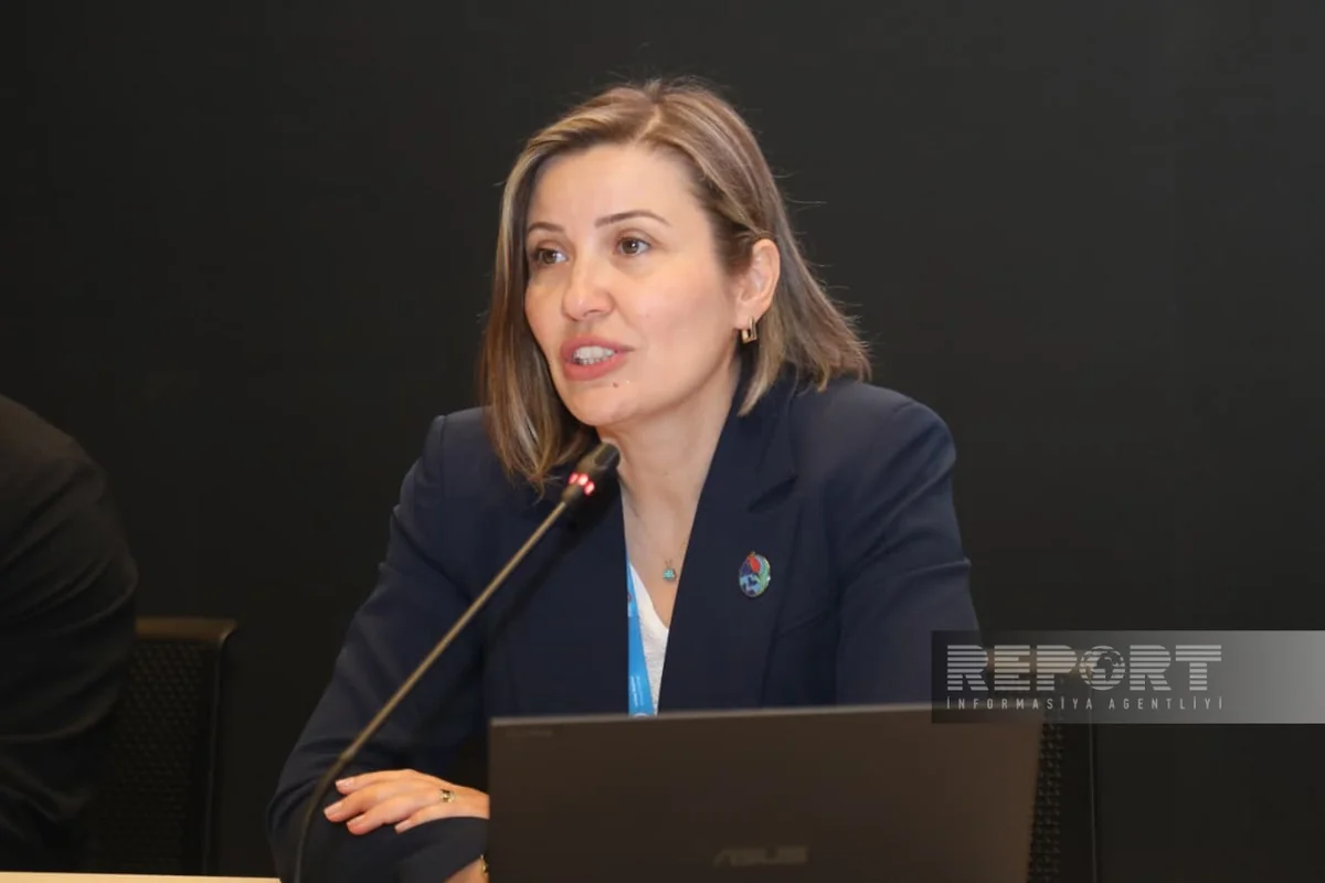 COP31 Sədrliyi binaların enerji intensivliyinin 20 % azaldılmasını təklif edir