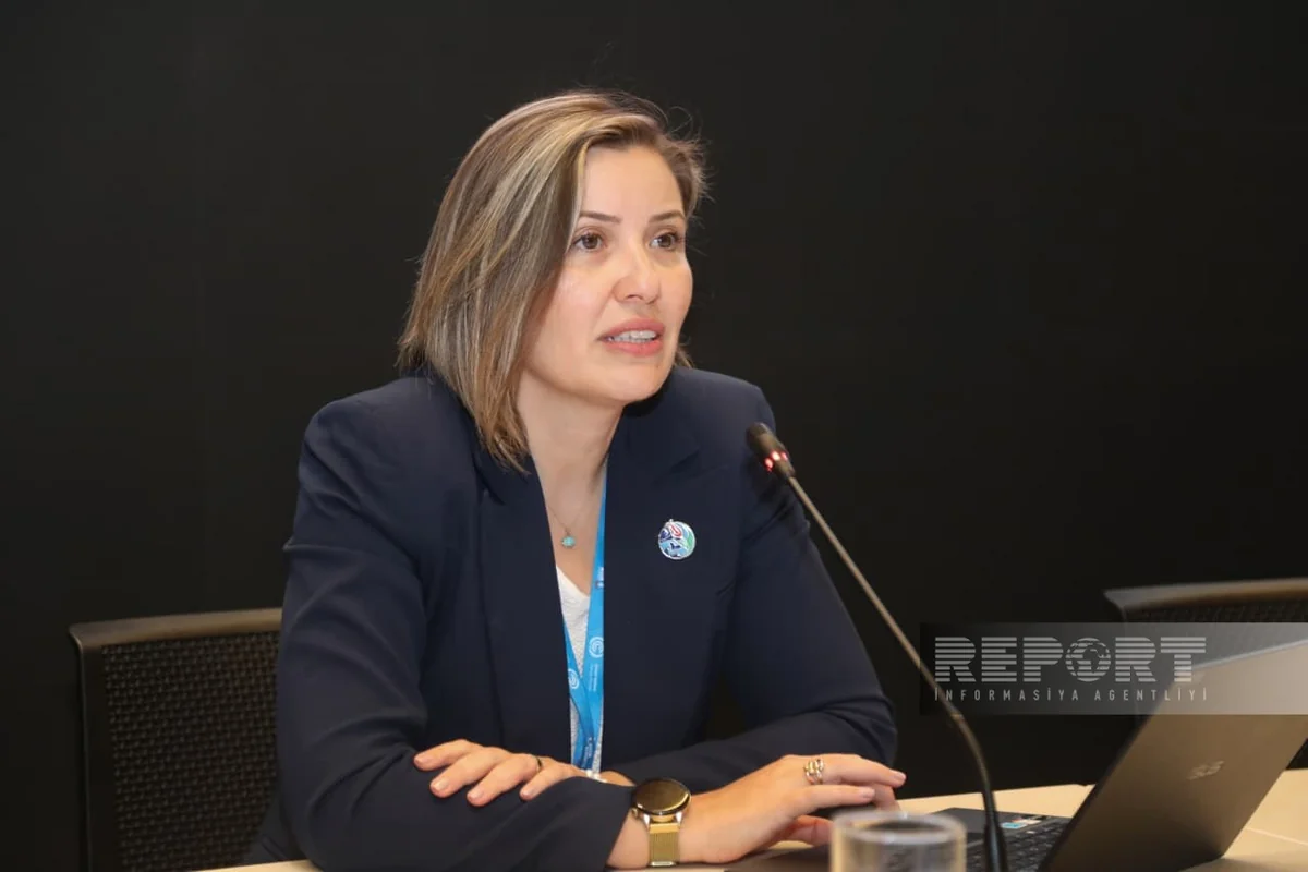 Türkiyə rəsmisi: "İqlimə dözümlü şəhər inkişafı üçün yeni yanaşma üzərində işləyirik"