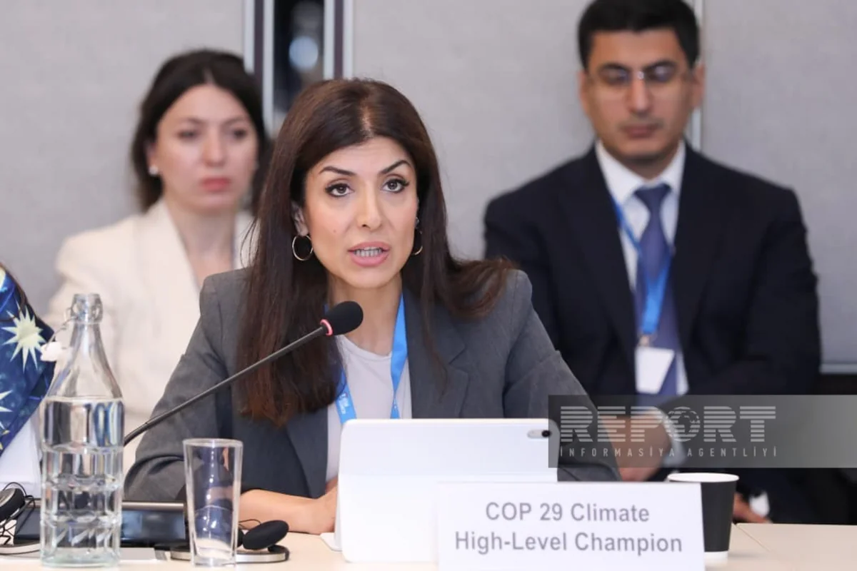 Nigar Arpadarai: Hazırda iqlim və şəhərsalma gündəliklərinin uzlaşdırılması son dərəcə vacibdir