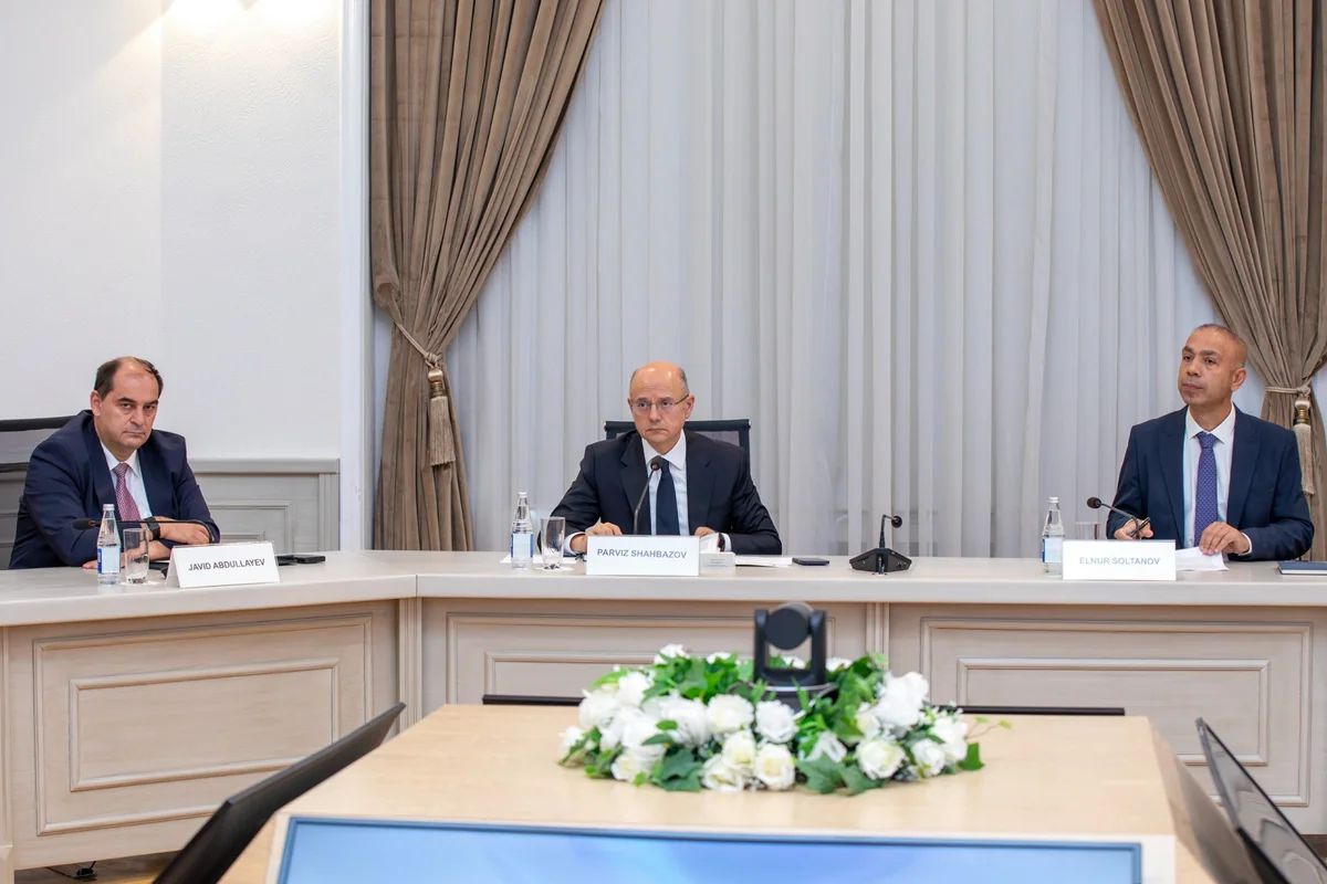 "China Energy International Group"la Xəzərdə külək enerjisi əməkdaşlığının inkişafı müzakirə edilib