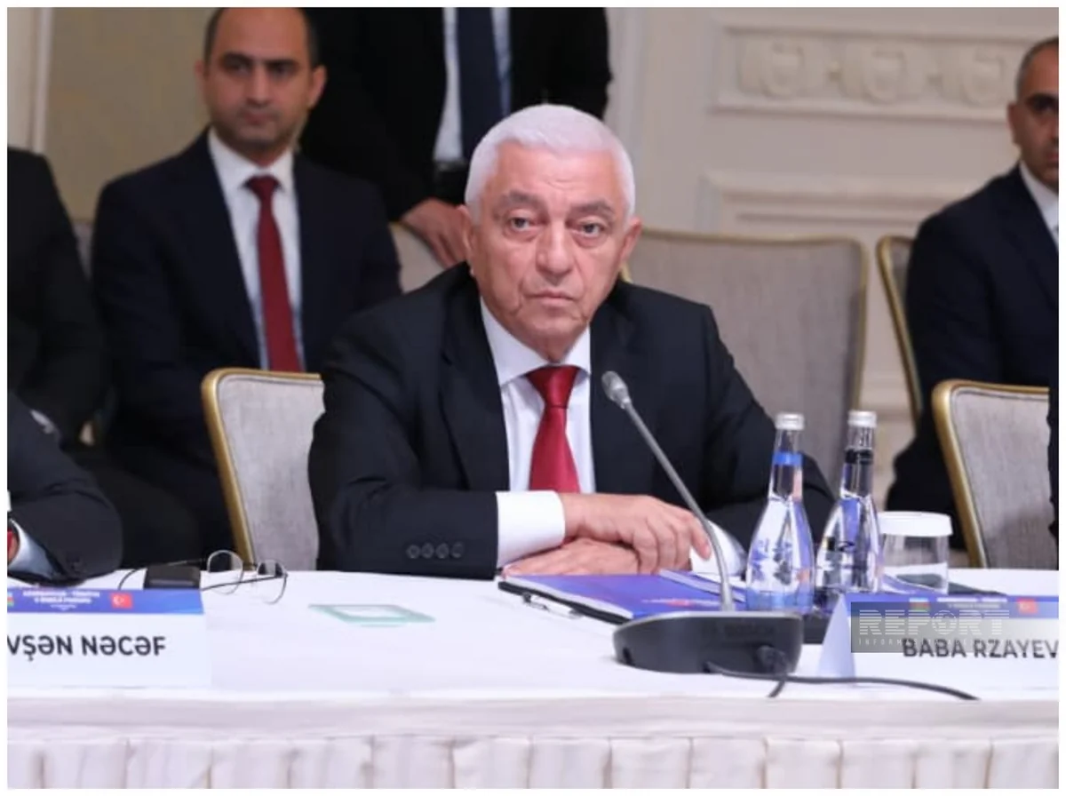 Baba Rzayev: "Türkiyənin "yaşıl enerji" təcrübəsi Azərbaycan üçün xüsusi maraq kəsb edir"