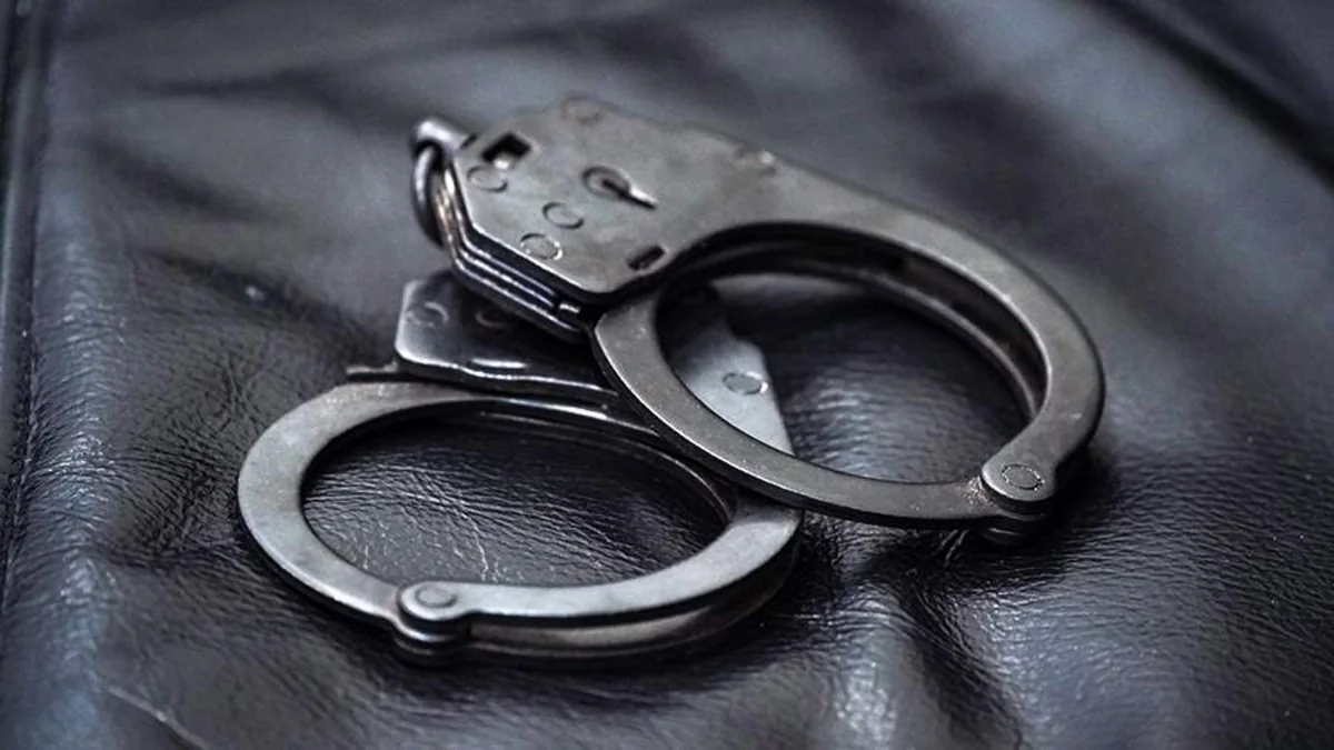 The administrators of the "Lemon Acid" page were arrested
