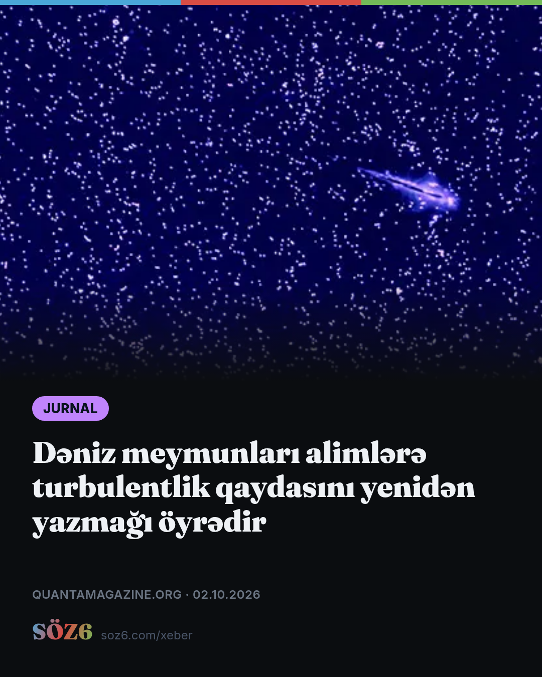 Dəniz meymunları alimlərə turbulentlik qaydasını yenidən yazmağı öyrədir