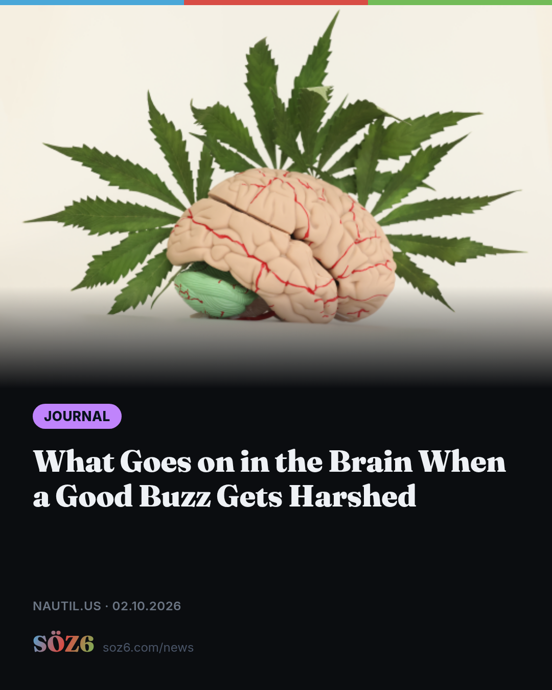 What Goes on in the Brain When a Good Buzz Gets Harshed