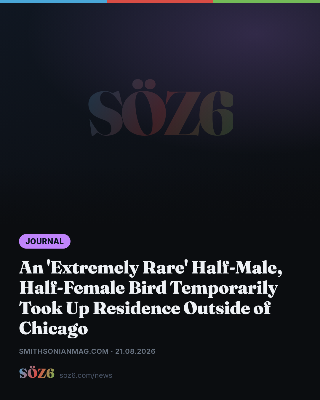 An 'Extremely Rare' Half-Male, Half-Female Bird Temporarily Took Up Residence Outside of Chicago