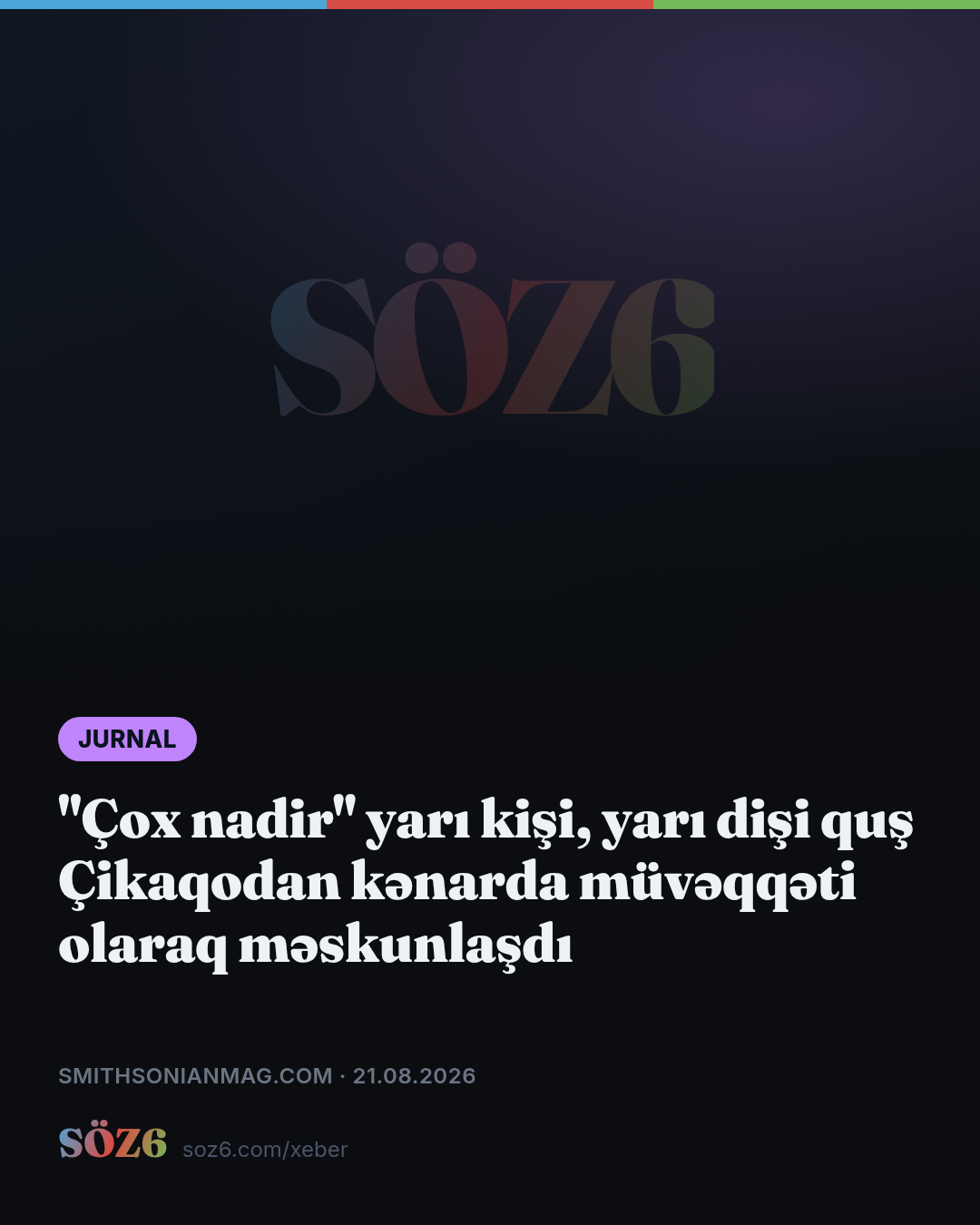"Çox nadir" yarı kişi, yarı dişi quş Çikaqodan kənarda müvəqqəti olaraq məskunlaşdı