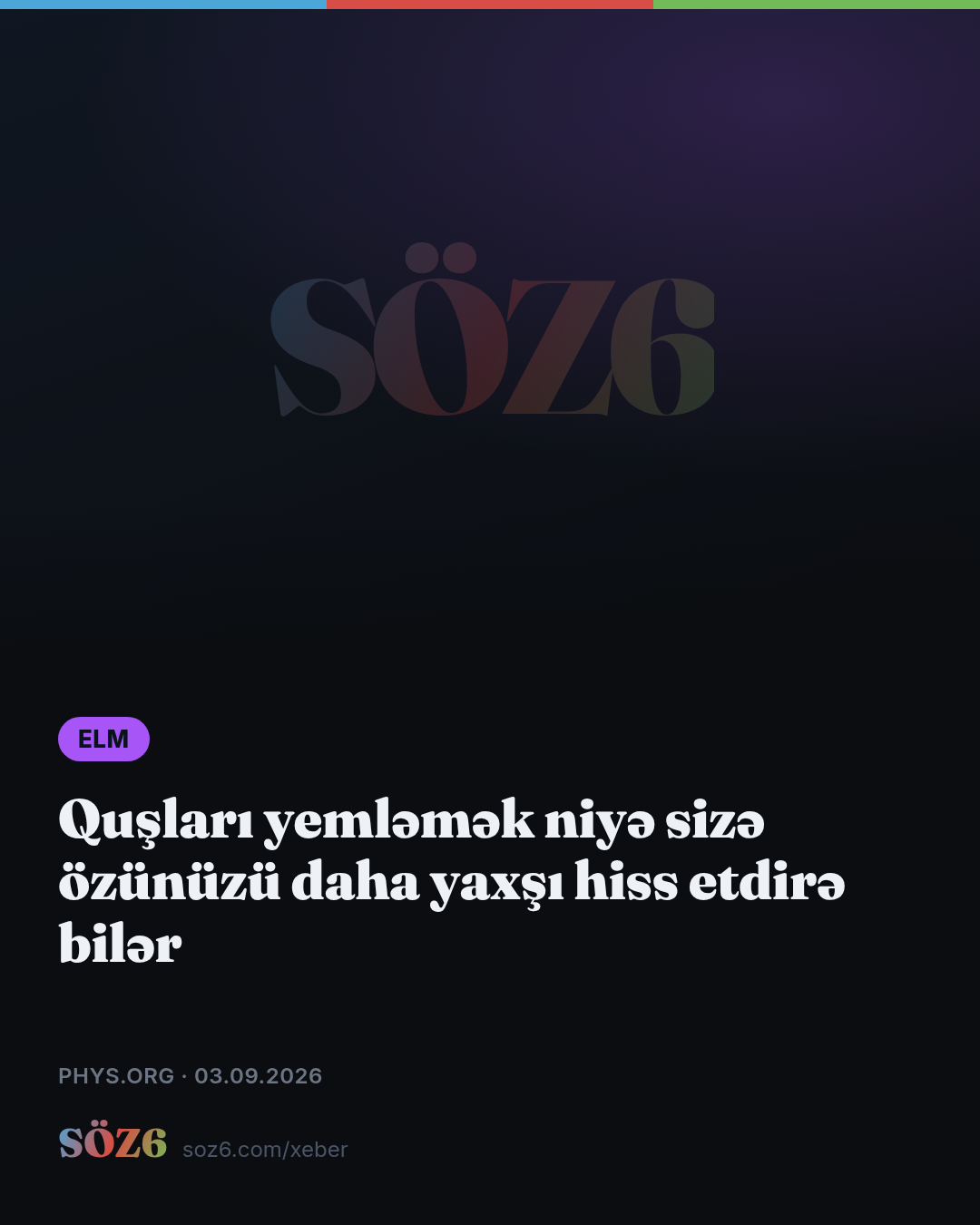 Quşları yemləmək niyə sizə özünüzü daha yaxşı hiss etdirə bilər