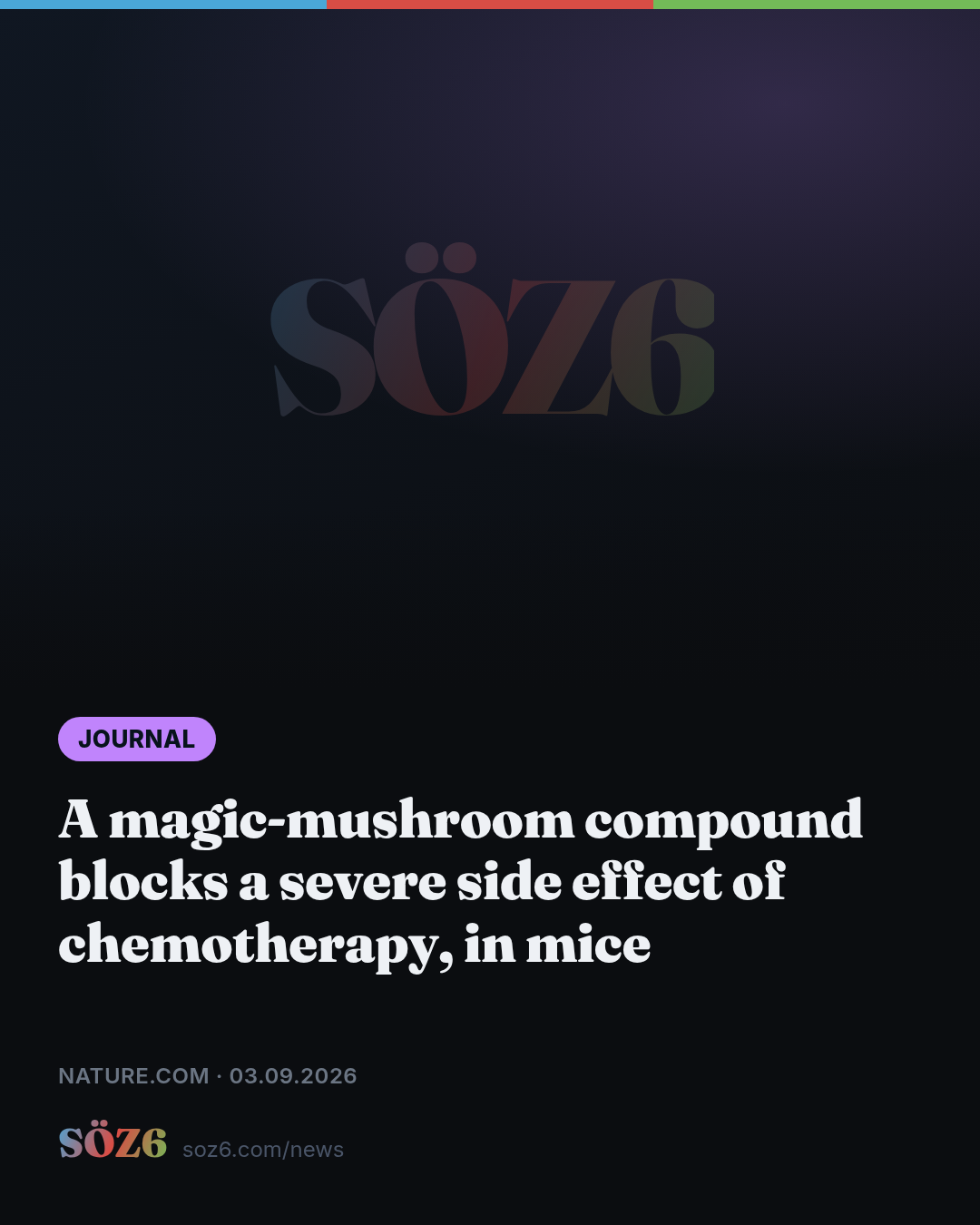 A magic-mushroom compound blocks a severe side effect of chemotherapy, in mice