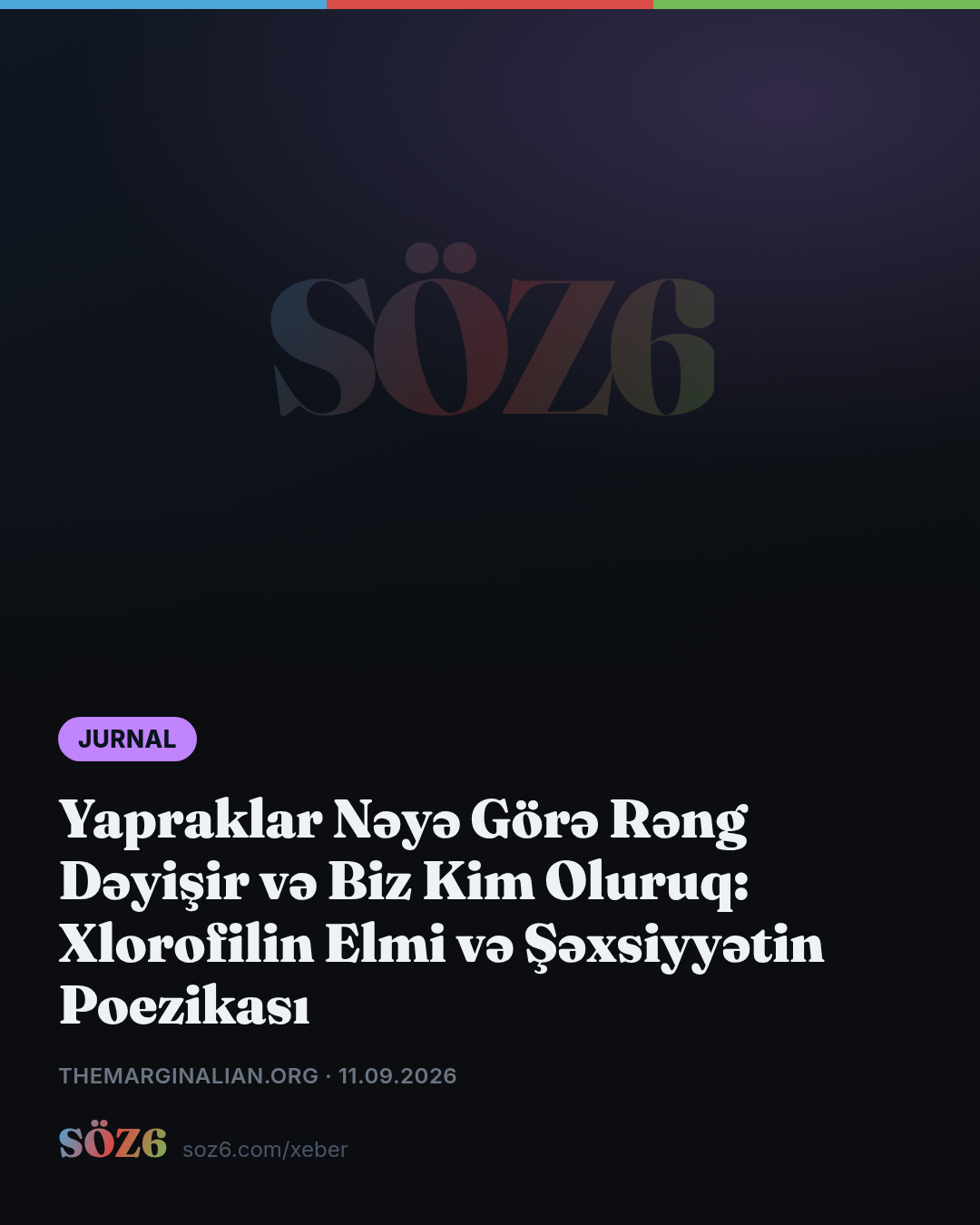 Yapraklar Nəyə Görə Rəng Dəyişir və Biz Kim Oluruq: Xlorofilin Elmi və Şəxsiyyətin Poezikası