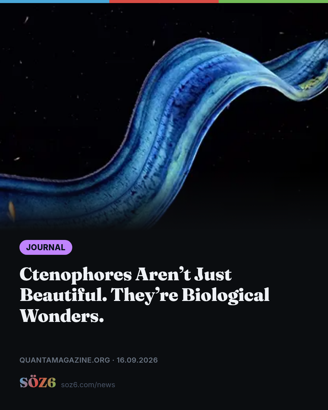 Ctenophores Aren’t Just Beautiful. They’re Biological Wonders.