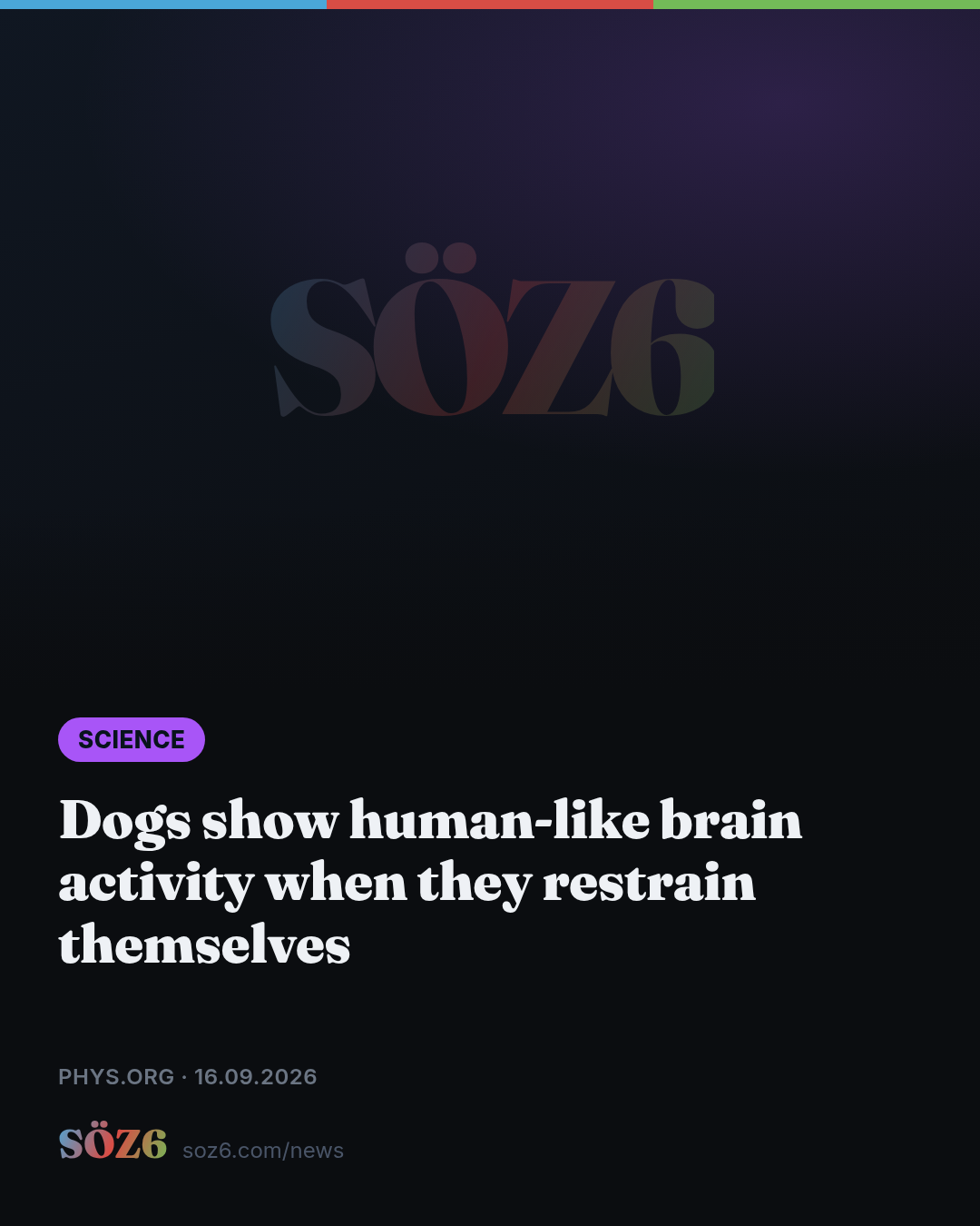 Dogs show human-like brain activity when they restrain themselves