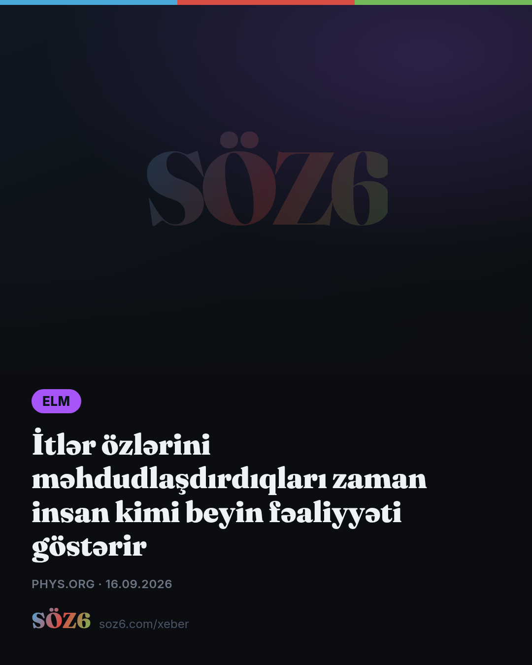 İtlər özlərini məhdudlaşdırdıqları zaman insan kimi beyin fəaliyyəti göstərir