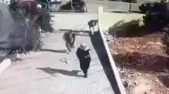 Watch: CCTV footage appears to show gunmen near church in Jordan