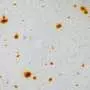 Tests reveal why titanium additions do not fully prevent pitting corrosion in stainless steel