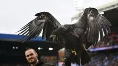 Animal rights group asks Crystal Palace to retire eagle mascot