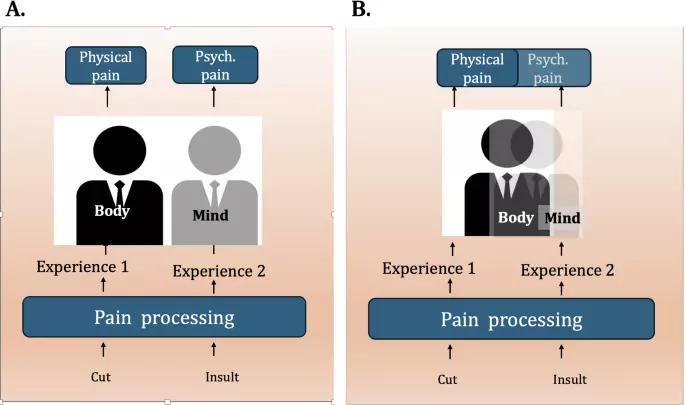 Non-suicidal self-injury is linked to mind-body intuitions: an exploratory study
