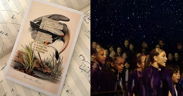 Meteor of Joy: The Young People’s Chorus of New York City Sings Bird Divinations
