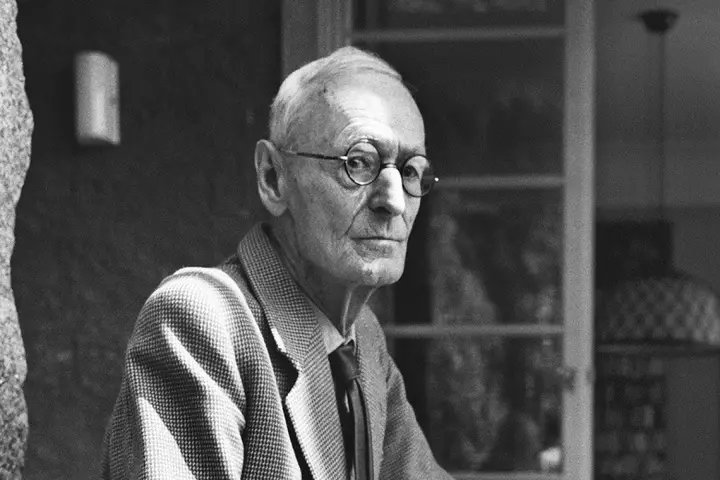 Meşə adamı - Herman Hessenin hekayəsi