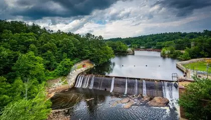 Dam Removals Are Bringing Fish Back Across the Northeastern United States, Striking Down One Tiny Barrier at a Time