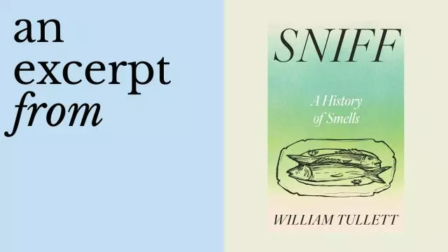The world hasn’t become less smelly — we’ve just lost our nasal knowledge