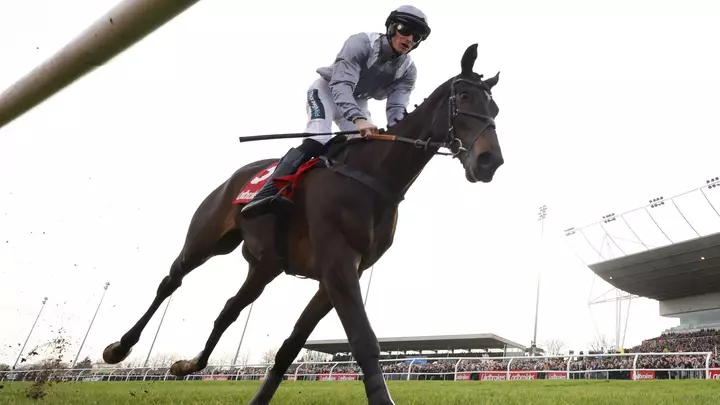 Il Est Francais makes stable debut for Skelton
