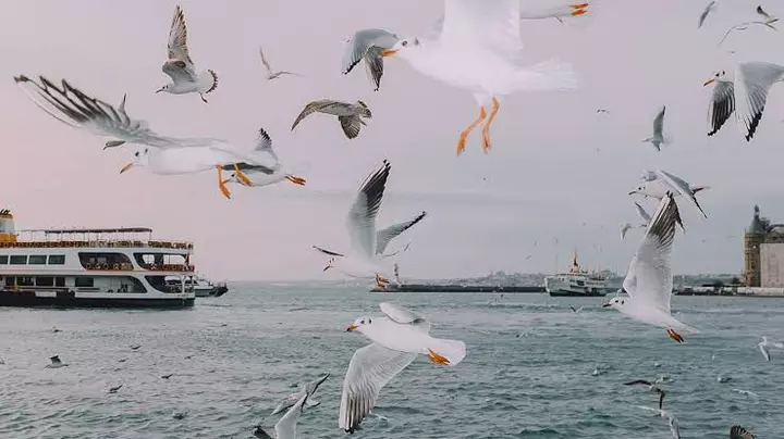 İstanbulun emosional və sosial mənzərəsini araşdıran fotolar dərc olundu