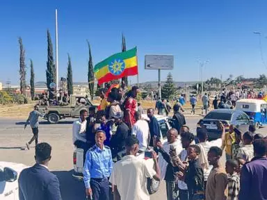 Ethiopia's Tigray rebels urged to disarm as commander vows to fight on